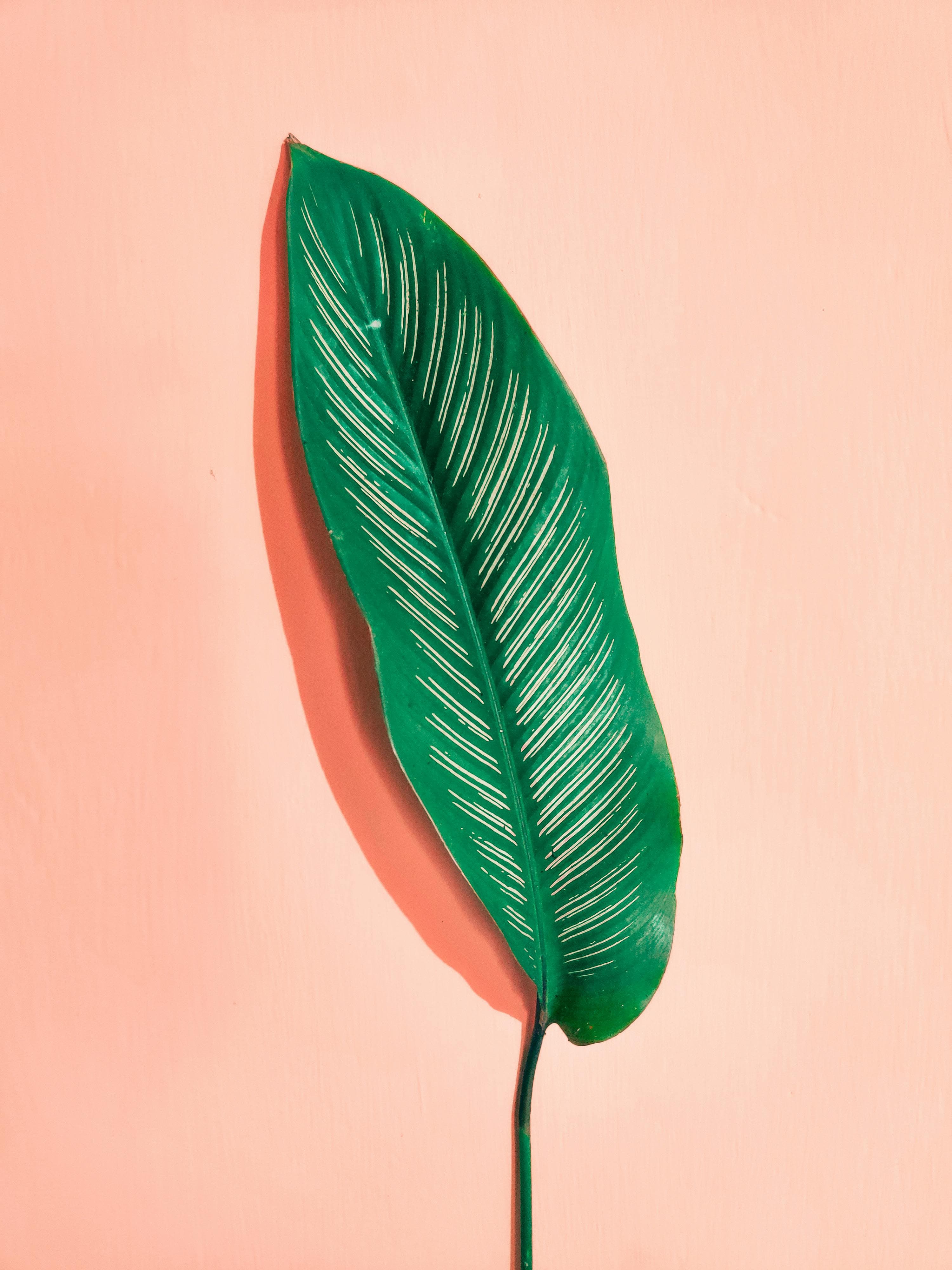 Digital Wellness: Setting Healthy Boundaries
